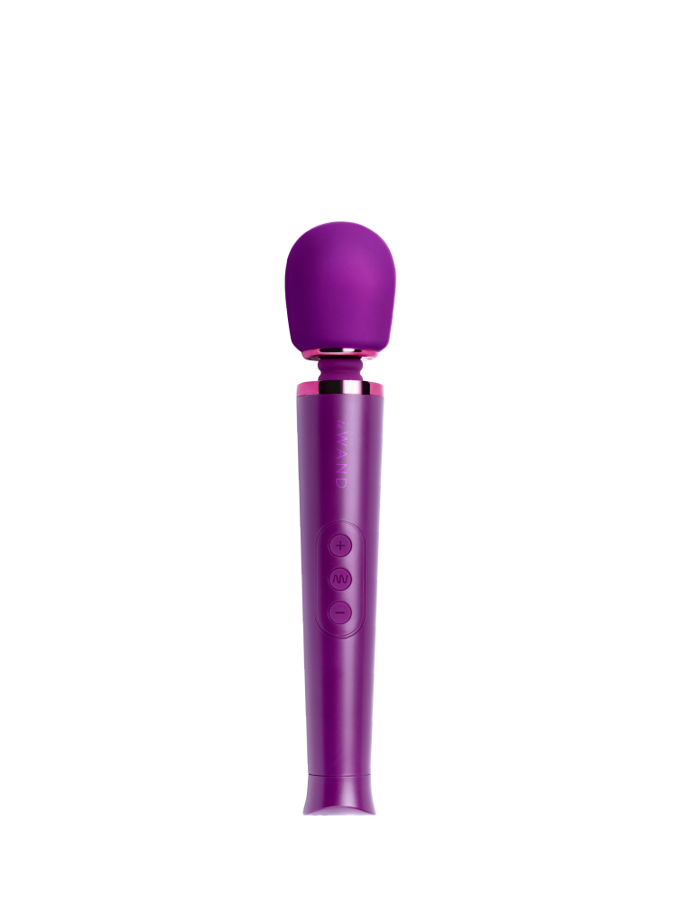 Le Wand Petite Rechargeable Massager