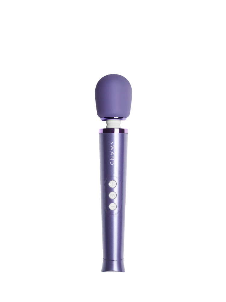 Le Wand Petite Rechargeable Massager